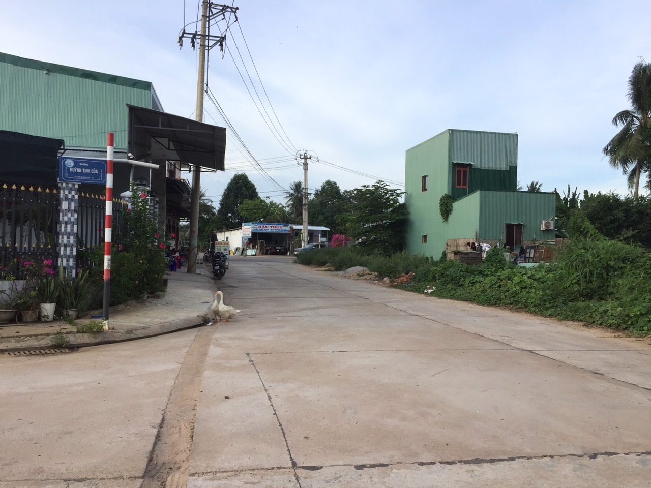 đất nền giá rẻ bồng sơn